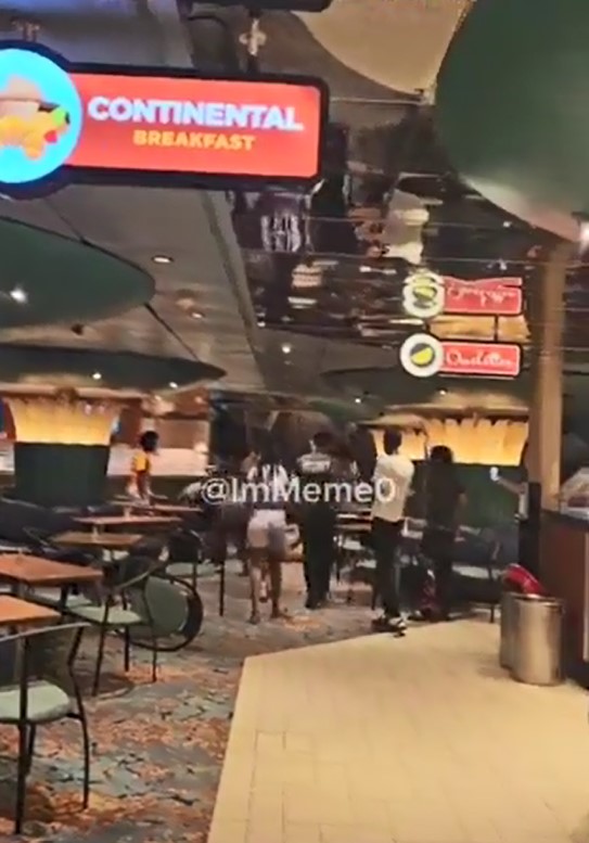 Carnival Cruise Ship Fight Video Shocks and Stirs Debate