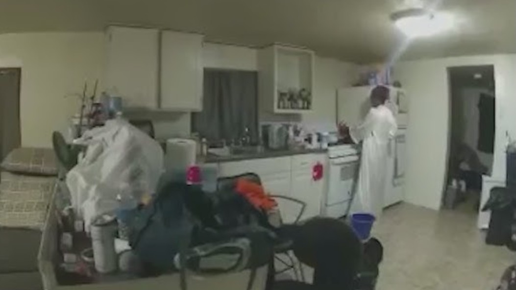 Sonya Massey Video and Body Camera Footage Raises